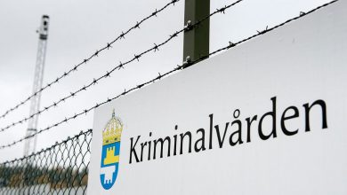 Photo of الهجرة السويدية ترفض أعطاء الجنسية السويدية لمجرم سابق بعد ٢٧ سنة