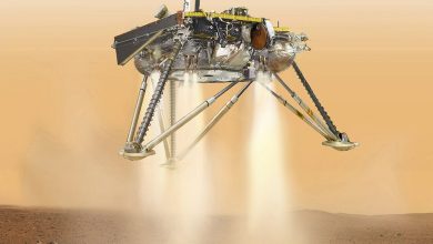 Photo of مسبار الفضاء InSight يهبط على سطح المريخ لأول مرة