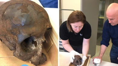 Photo of لغز جمجمة الطفل التي تم إيجادها في بحيرة جنوب بلدية أسكلتونا