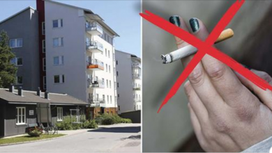 Photo of شركة سويدية تشترط عدم التدخين للسكن في بيوتها الجديدة