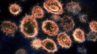 Photo of أحادي أكسيد النيتروجين يدخل ضمن علاج مرضى الكورونا في السويد