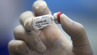 Photo of يمكن ان تبدا السويد التطعيم ضد فايروس كورونا من نهاية العام