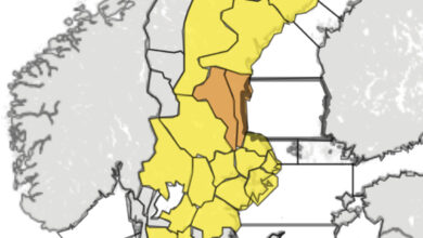 Photo of هيئة الارصاد السويدية SMHI : تطلق تحذير من الدرجة الثانية لعاصفة ثلجية