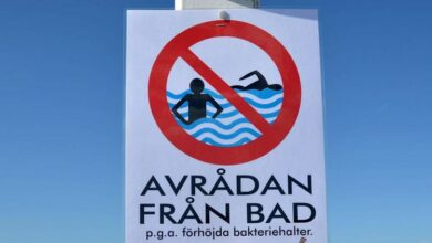 Photo of تحذير: انتشار البكتريا في أحد شواطئ مالمو والبلدية تحذر من السباحة في هذه المنطقة
