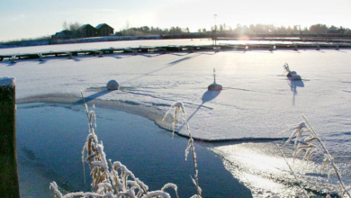 Photo of تحذيرات من الانزلاق الجليدي … الطقس في عيد الميلاد هذا العام