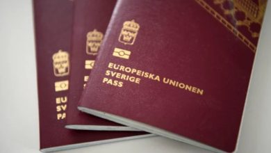 Photo of بالارقام: 67.331 طلبًا للحصول على الجنسية السويدية في عام 2020