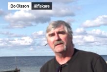 Photo of الاتحاد الأوربي: “حظر صيد ثعبان السمك” في السويد والصيادون مستاءون